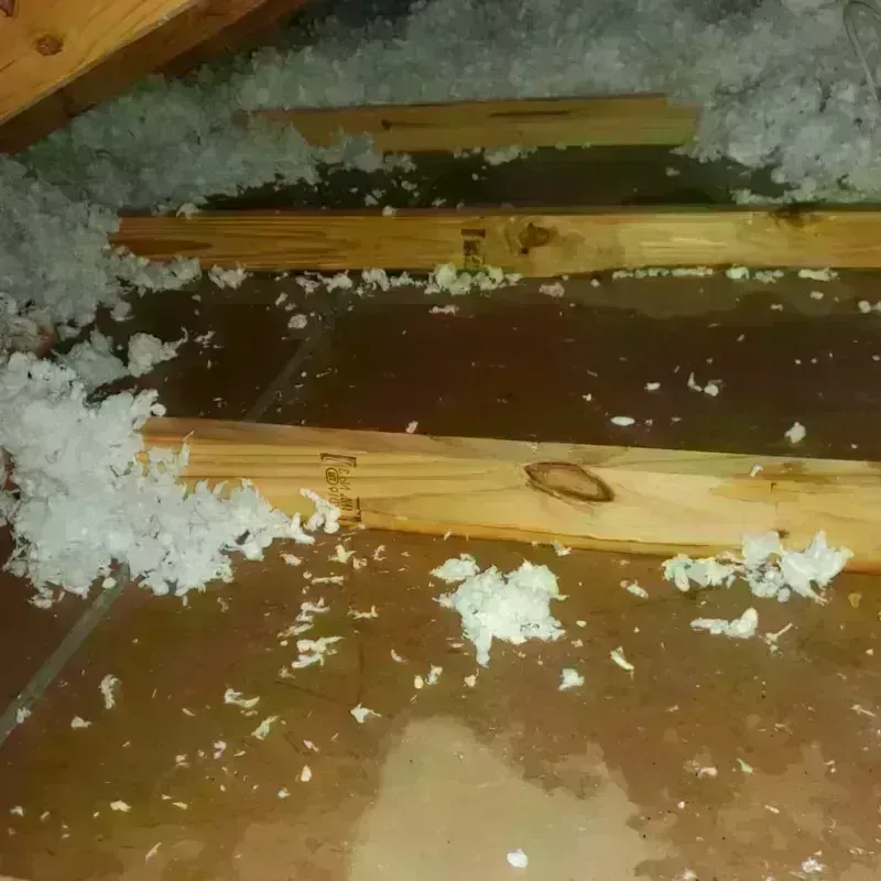 Attic Water Damage in Dubuque County, IA