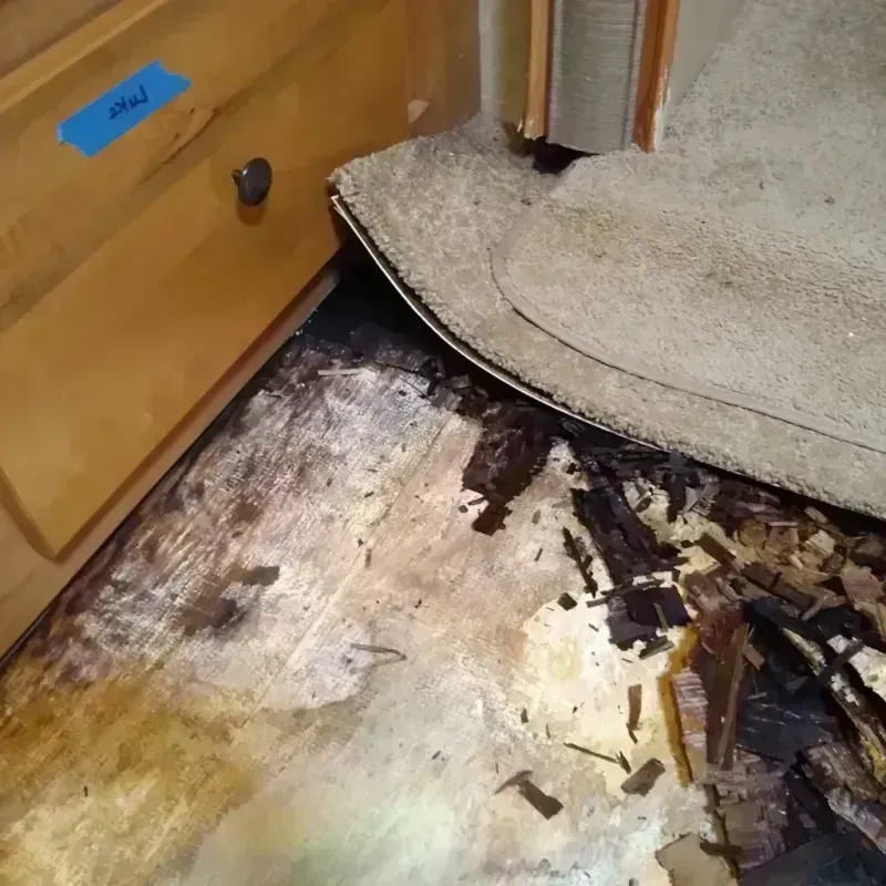 Best Wood Floor Water Damage Service in Dubuque County, IA